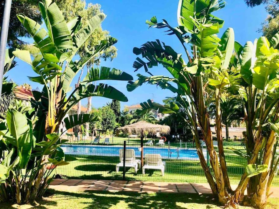 Puerto Banus Eddie Suite Marbella Luaran gambar
